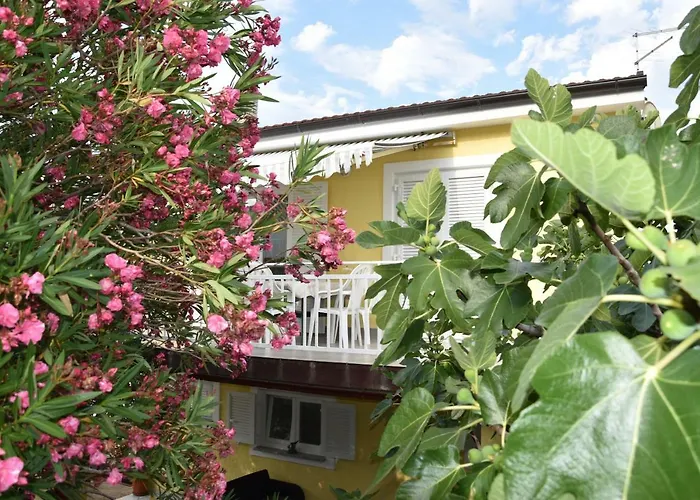 Apartmani Novosel