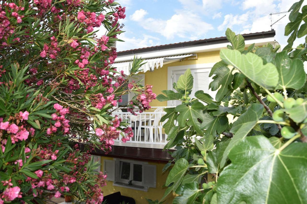 Apartment Novosel *